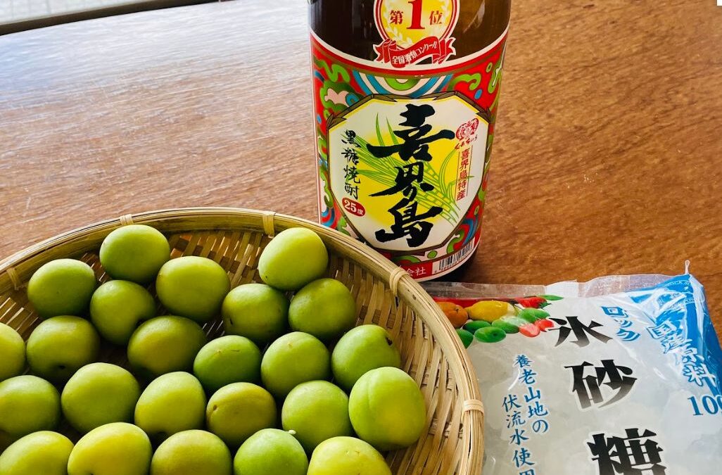 Tsuyu (saison des pluies) = Sake de prunes ?